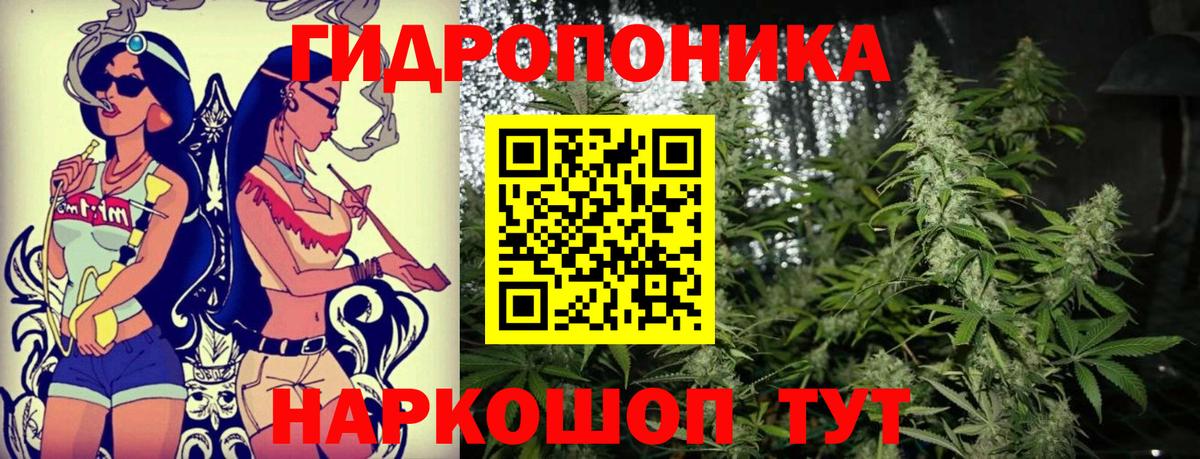 Конопля THC 21%  Канабис планчик  Вход с VPN  Бошки марихуана план  Нальчик 